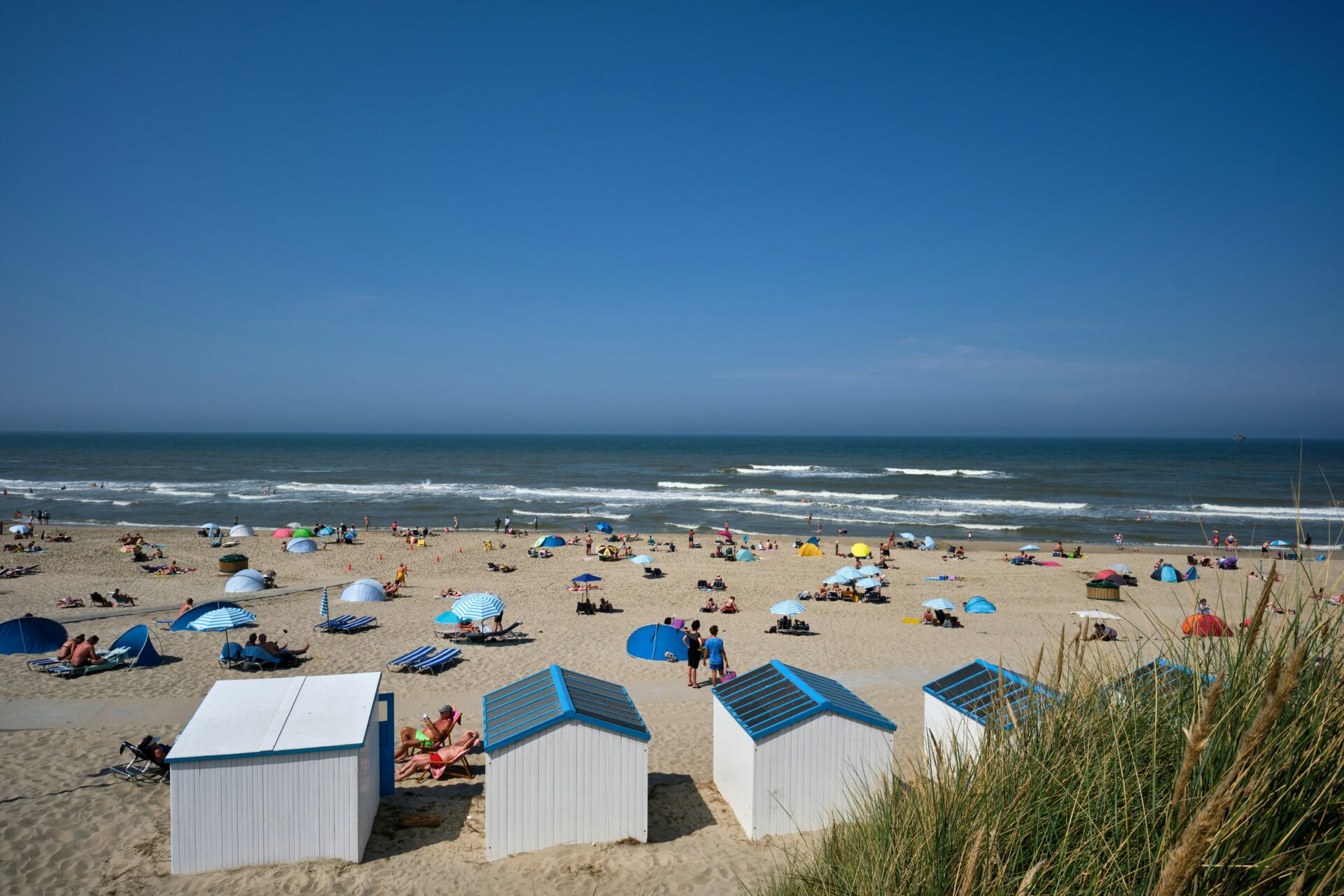 Blog main image