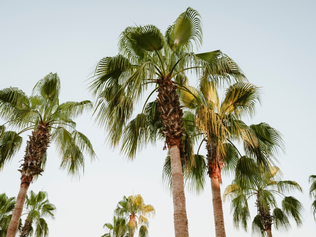 Le sud de la Costa Blanca en Espagne : authentique, varié et répandu