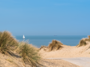 Westende - Vastgoed aan de kust