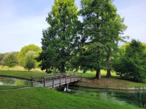 Vastgoed in Sint-Stevens-Woluwe