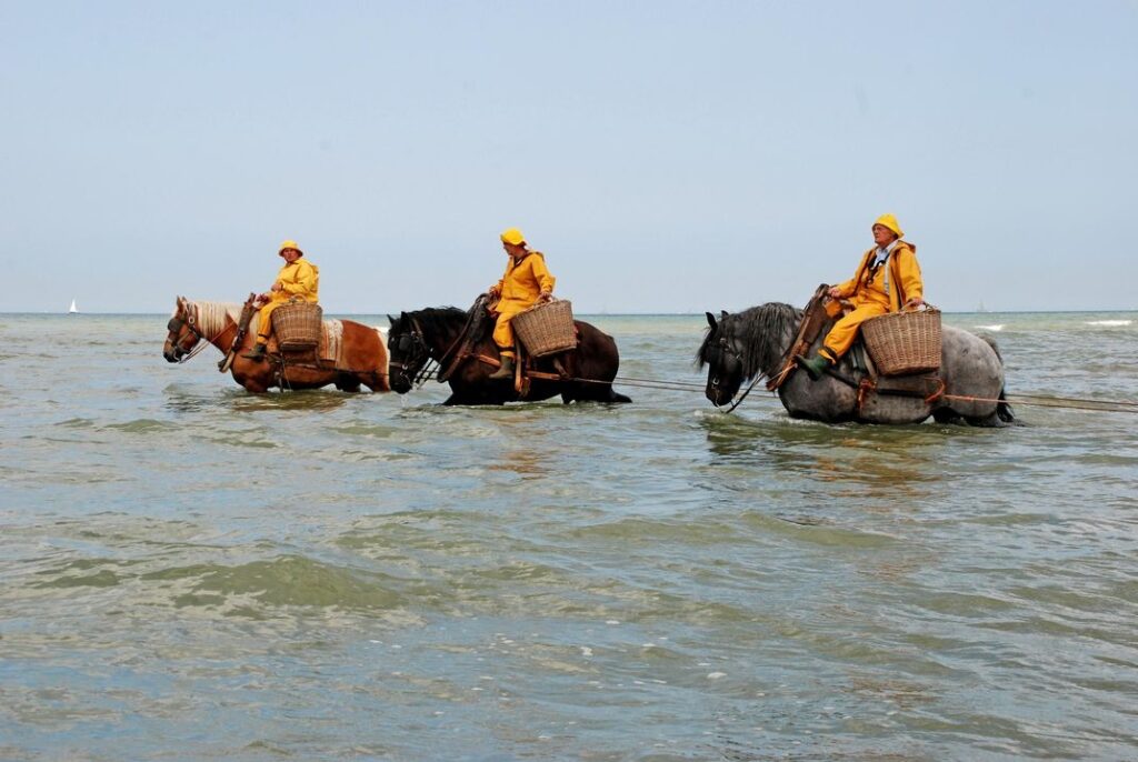 Oostduinkerke III