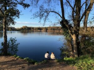 Vastgoed in Gullegem