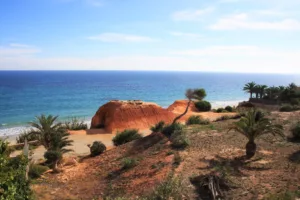 Propriétés dans Dehesa De Campoamor