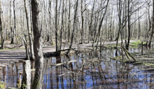 Sint-Gillis-Waas, Flandre orientale