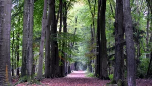 Vastgoed in Ardooie, West-Vlaanderen